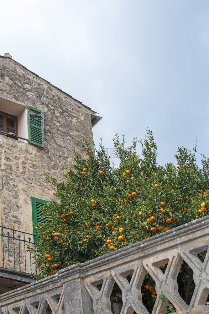 巴利阿里岛在西班牙Majica的Valldemossa西班牙Majorca用绿窗百叶开着玻璃的古老传统石房并配有果实和水的美丽橙图片