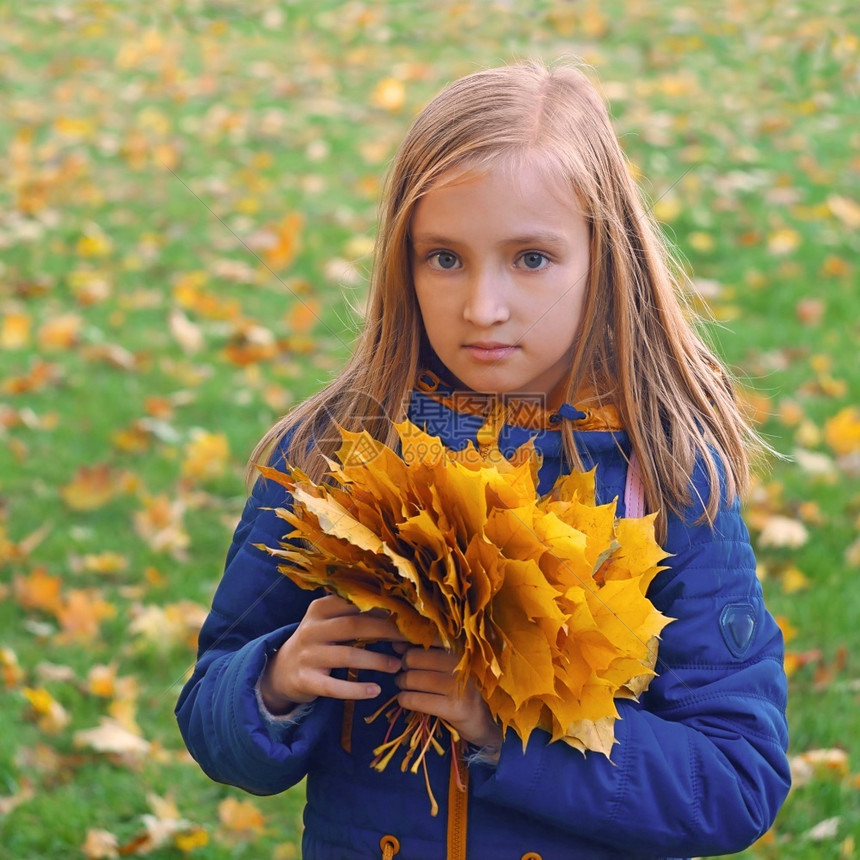 头发树叶秋天在绿草的坪上拿着一束黄色的木瓜叶子小姑娘们在一片绿草地上女孩图片