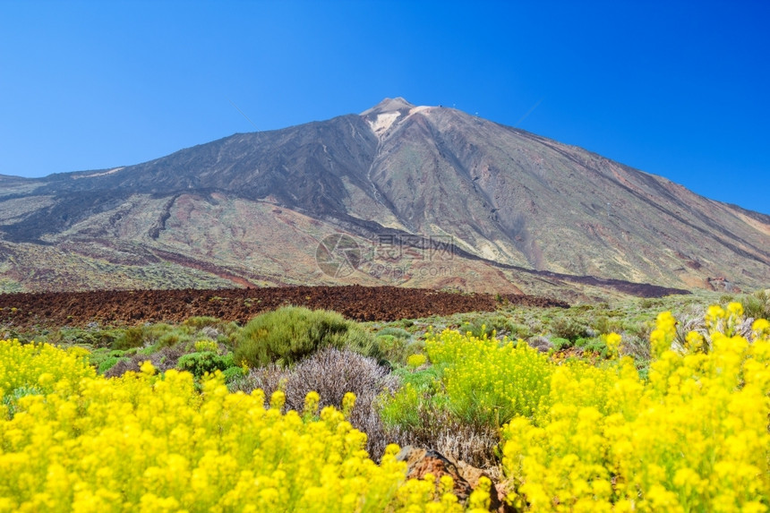 西班牙特内里费岛地平原上黄花的提德火山峰结石环境岛屿图片