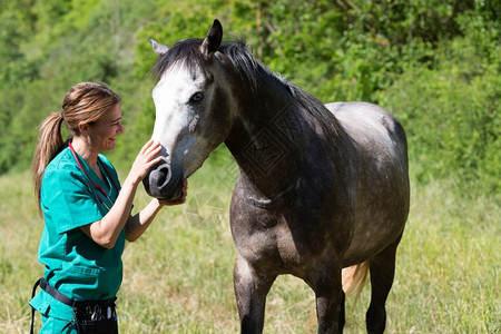 对马进行治疗诊断的女兽医图片