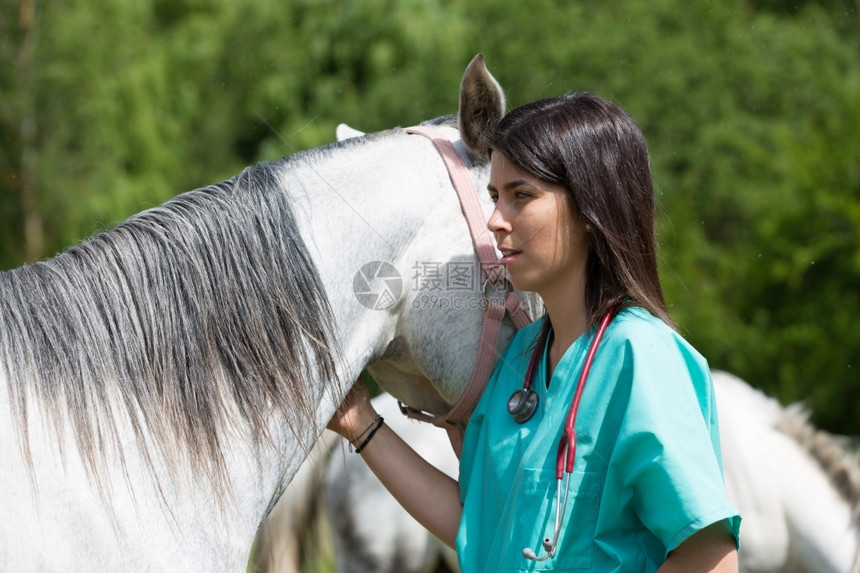 草坪上对马进行诊断的女兽医图片