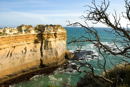 水澳大利亚南维多州崎岖不平的海岸线石灰形成图片