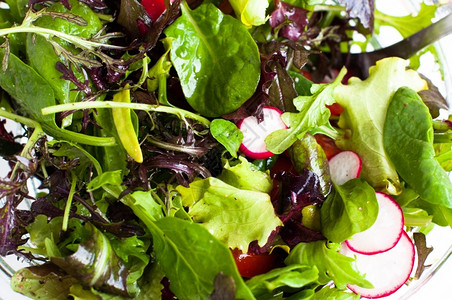 菊苣新鲜准备的混合沙拉绿色蔬菜用于健康饮食市场花园图片