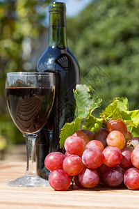 餐厅黑色的葡萄酒杯配有新收获的葡萄庆典图片