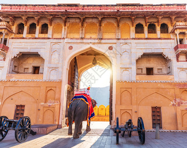 传统的琥珀堡拱门和大象印度斋浦尔琥珀堡拱门和大象印度斋浦尔庭院动物图片