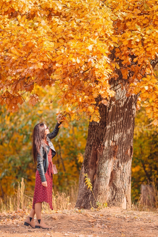 美丽的女人在秋天公园里在温暖的10月天秋的落叶下秋天公园里的美丽女人在秋天的落叶下快乐树季节图片