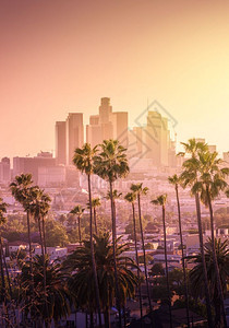 区天际线洛杉矶美丽的日落市中心天际和棕榈树在地上天空图片