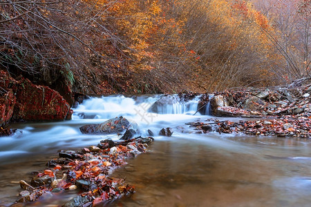 旅游在斯嘉丽塔贝利奥拉的阿普塞尼山脉秋天瀑布图纯度自然背景图片