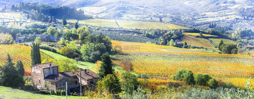 全景路颜色美丽的托斯卡纳乡村秋天风景意大利金色植物园图片