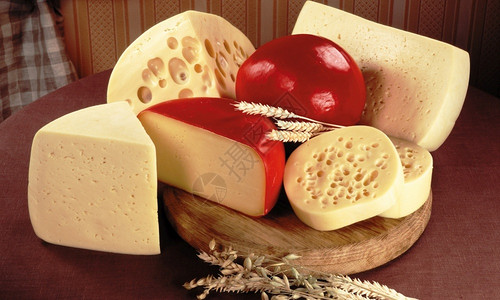 紧贴的奶酪板配有不同种类的奶酪来做开胃菜乳制品什锦的熟食图片