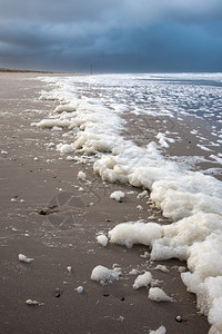 浪潮海滩上有泡沫的风暴海岸线太阳户外图片