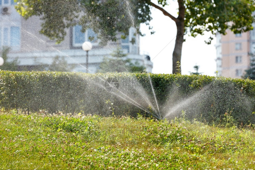 自动的可选择草地花园灌溉洒水器在夏季炎热的日子里在住宅楼模糊的背景下灌溉城市草坪上的选择聚焦复制空间自动灌溉系统城市公园年轻花中图片