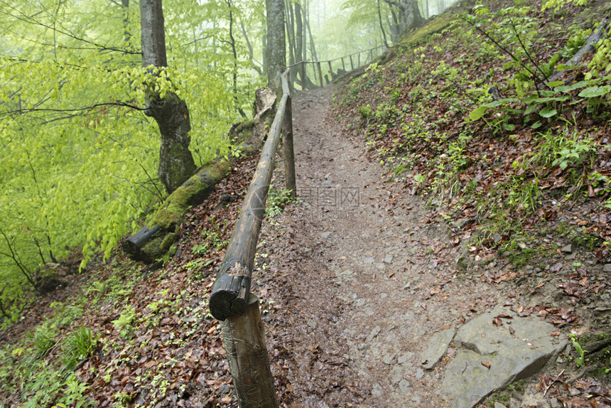户外季节在潮湿的森林里有一条旧木制扶手的狭小山道在干燥的森林中沿着一条狭窄陡峭的山路爬上丘荒野图片