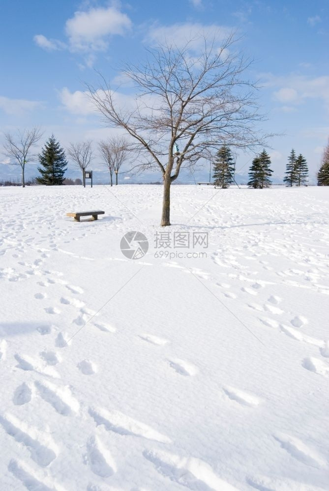 冻结自然荒野雪地秃头树和空椅子上的脚印北海道日本Honshu以北日本东亚图片