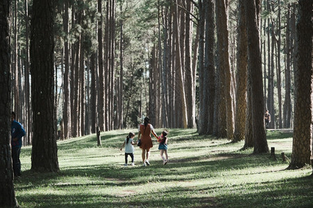 假期一种母亲和两个女儿在春日手牵松林中散步漫爱图片
