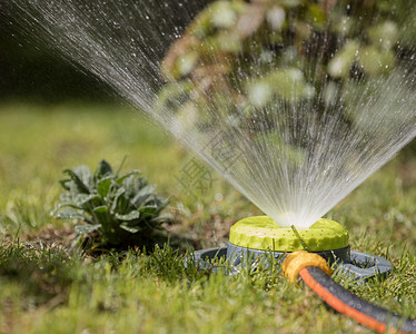 园林绿化便携式洒水器充分浇灌木和草坪便携式洒水器在草坪上喷滴户外图片