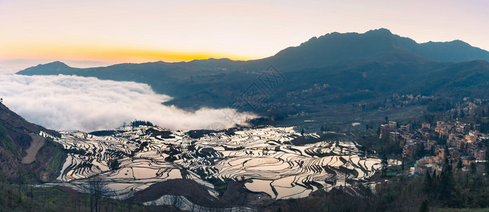 圆扬的云雾大海的田稻全景有机的美丽遗产图片