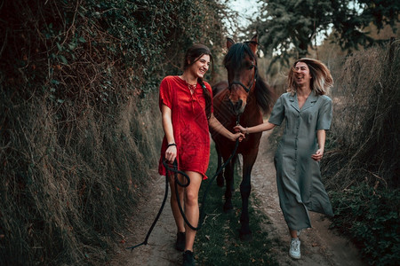 骑师牧场两个女朋友聊天骑着马乘兜风穿过农村的乡间自然图片