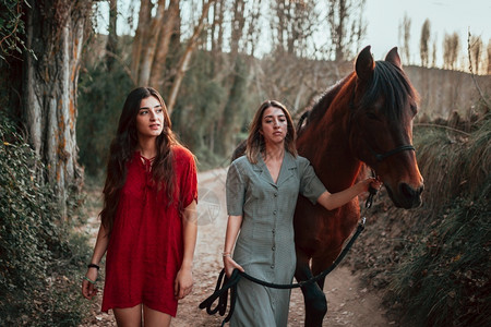 他们的快乐马术两个女朋友聊天骑着马乘兜风穿过农村的乡间图片
