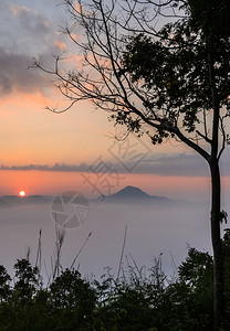 黎谷爬坡道泰国洛艾省清汗PhuThok山的日出和雾海图片