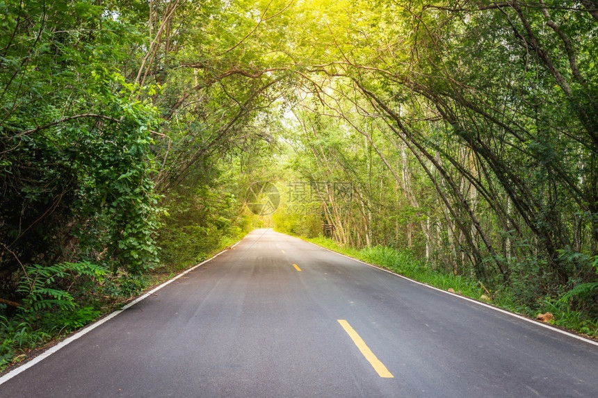 泰NakhonRatchasima的森林道路是一座山地隧道绿色天空图片