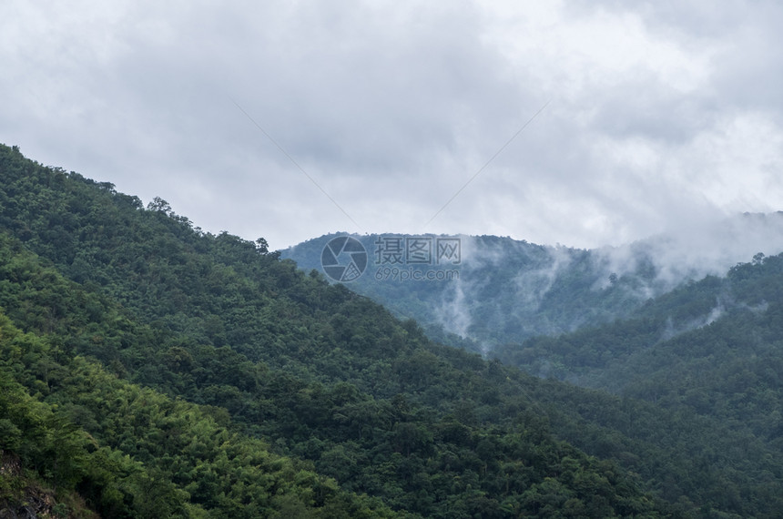 泰国北部家公园位于泰北部风雨过后烟雾笼罩高山树木蒙的图片