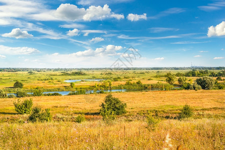 白色的农业天空秋季在河岸附近草原上的干图片