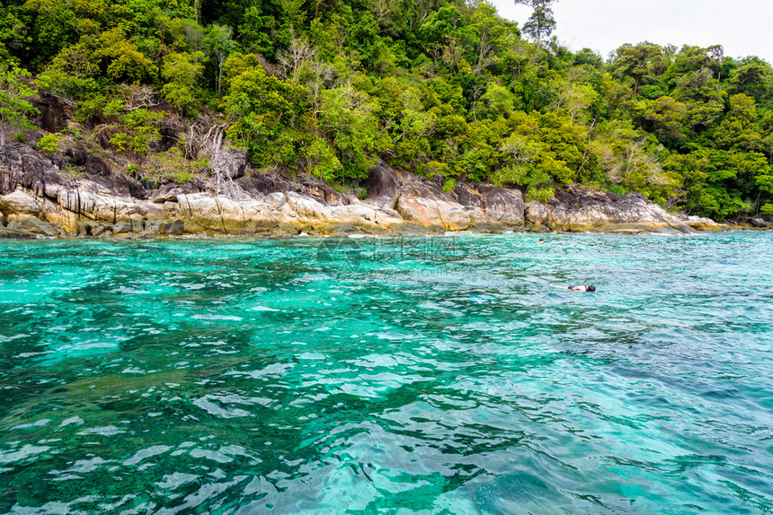 美丽的热带自然景观清干净的绿海和正在上浮的游客是KohLipe岛Tarutao公园附近的KoKaTata浅下潜水场位于Satun图片
