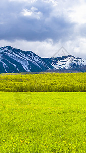 自然高山户外堪察加半岛雪山前的绿地堪察加半岛雪山前的绿地图片