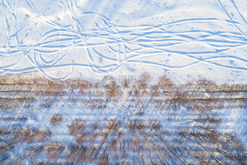 在阳光明媚的冬日在雪田和弯曲的足迹上方看一排裸露的树木上面有长的阴影沿着雪地的长影森林户外季节图片