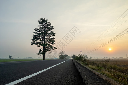 日落时的森林公路图片