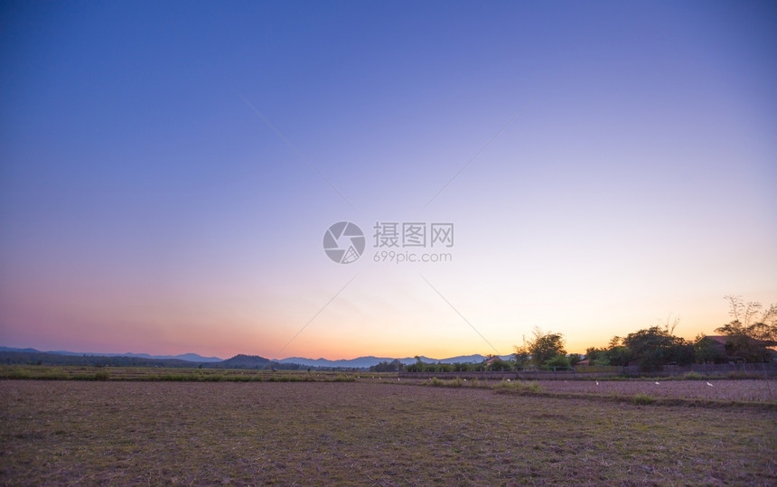 植物学绿色清晨乡村的日出让你一整天都感觉舒服新鲜的图片