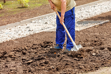 工作放松一个温暖的春日一位年长的男园丁在菜里的用铲子松土工具园艺高清图片素材