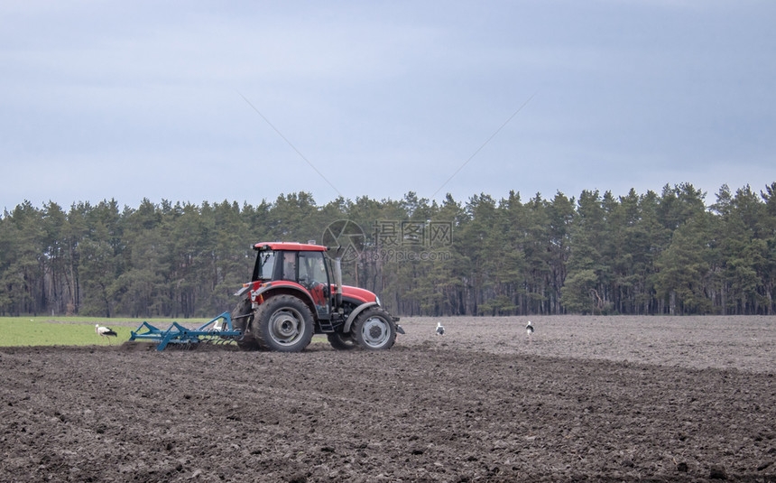 胡茬拖拉机上的农民用中耕机整地在农田播种早春的农业活动拖拉机上的农民用中耕机整地在农田上播种字段早期的图片