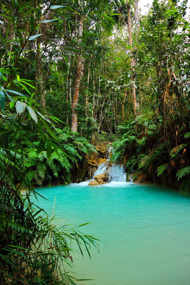 老挝LuangPraprabang的美丽风景树幻想山坡图片