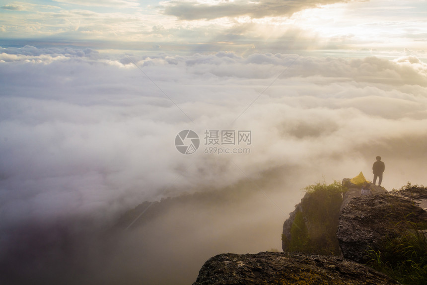 美丽的日落天篷森林空中观察图片