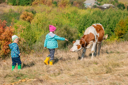 田园放牛的孩子们图片