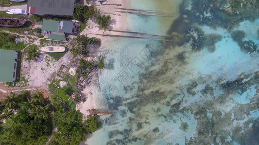 放松珊瑚建立对美丽的海滩洋一带的树木和家园空中俯视图片