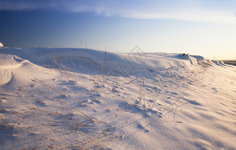 冬天的田野里被雪覆盖的农田疏天气场地图片
