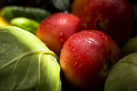 自然紧地把新鲜的秋天蔬菜水果苹团体图片
