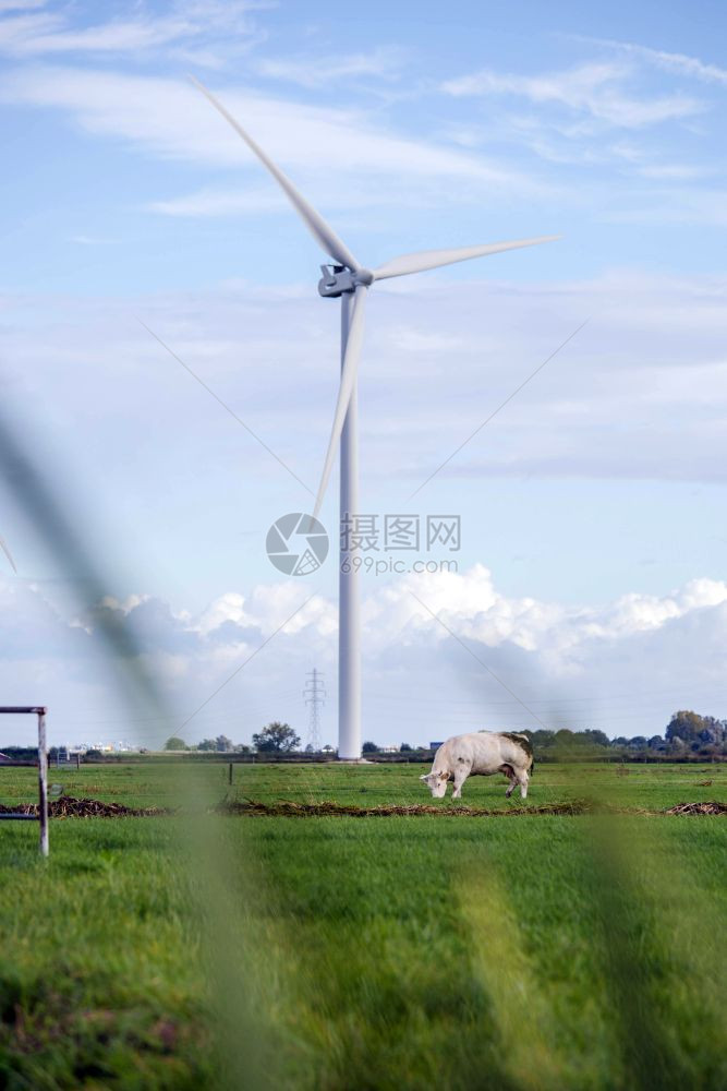 可持续电的夏天有新鲜绿草和晴朗蓝天风车夏有新鲜的绿草和晴朗蓝天田野风车能量概念有田野的牛能量概念环境图片