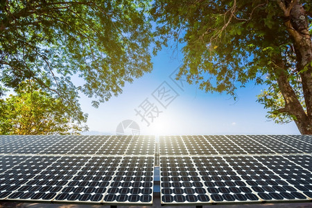 技术节省自然绿树叶框架色清洁替代能源概念带有光伏太阳能电池板以观景蓝天空背绿色清洁替代电力背景图片