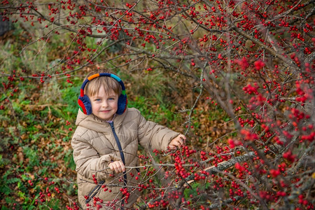 摘果子男孩愉快一个可爱男孩的肖像红色果子黄豆颜大自然的美丽颜色秋红胡须草莓漂亮男孩的肖像红莓秋季颜色美丽的公园背景