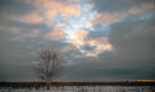 天空下的雪二月干燥孤单地在寒冬的田野中在白云破碎的空隙下与阳光相照希望设计图片
