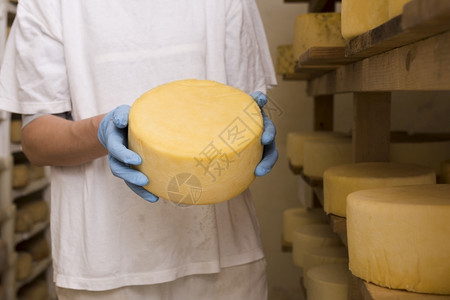 高清晰度照片显示有奶酪卷的人高质量照片显示工作可口吸引人的图片