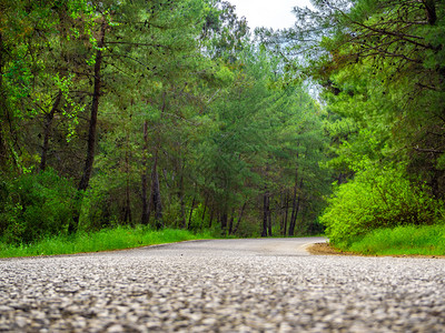 放松自然农村道路两边都有树林公园图片