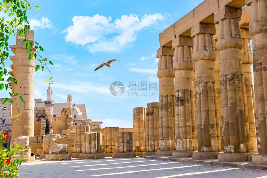 地标墙支柱海鸥飞越卢克索寺庙大厅卢克索寺的海鸥图片