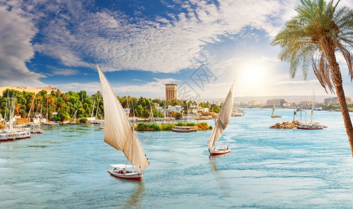 卢卡斯基费卢卡斯夏天埃及阿旺市尼罗河fauluccas和棕榈的景象船背景