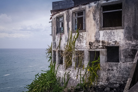 松属海边的一座废弃旧楼上植物海边旧废弃楼上植物臭名昭著人们图片
