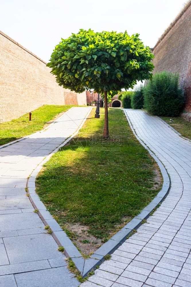 绿色花园有干净的草地美丽树木堡垒院子里的小巷201年在罗马尼亚AlbaIulia的加固工事墙和舞厅筑城胡同阳光图片